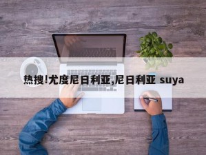 热搜!尤度尼日利亚,尼日利亚 suya