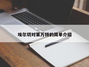 埃尔切对莱万特的简单介绍