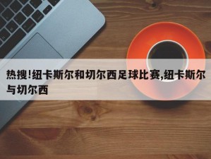 热搜!纽卡斯尔和切尔西足球比赛,纽卡斯尔与切尔西